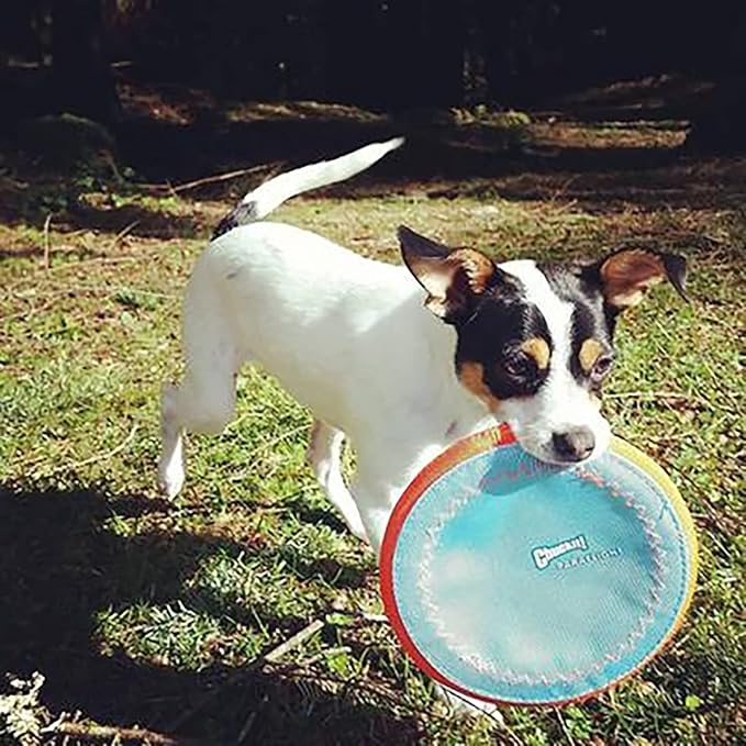 Chuckit! Paraflight Flying Disc Dog Toy - Water Floating Flyer - Durable Nylon Construction with Soft Rubber Edges - for Medium and Large Dogs - Size Large - 9.75" L x 9.75" W -,1 Count (Pack of 4)