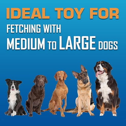 Nerf Dog Atomic Flyer Outdoor Dog Toy, 10 Inch Flying Disc Dog Fetch Toy, Rubber Dog Toy for Medium Dogs and Large Dogs, Green (Pack of 2)