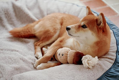 Squeaky Dog Plush Toy, Bakery Bite_Stick Collection, 12", for Various Sized Dogs (Croissant, Large)