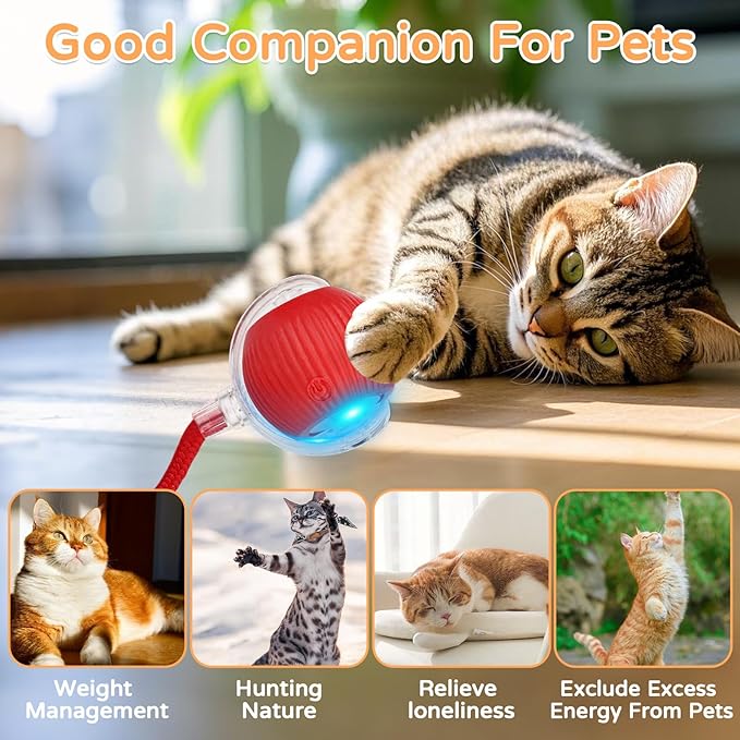 2025 New 2Pack Cat Ball Kitten Toys for Indoor Interactive Kitty Ball Toy Speedy Tail 360° Automatic Rolling for Dog, Cat(Red Grey)