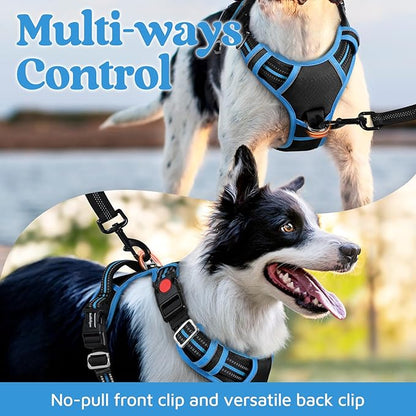 rabbitgoo Dog Harness for Large Dogs, No Pull Pet Vest with 3 Buckles, Adjustable Soft Padded Pet Harness with Easy Control Handle and Reflective Strips, Black & Sky Blue, XL