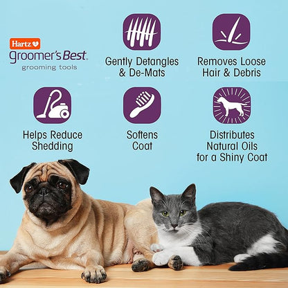 Hartz Groomer's Best Small Slicker Brush for Cats and Small Dogs, Black/Violet, 1 Count (Pack of 2)