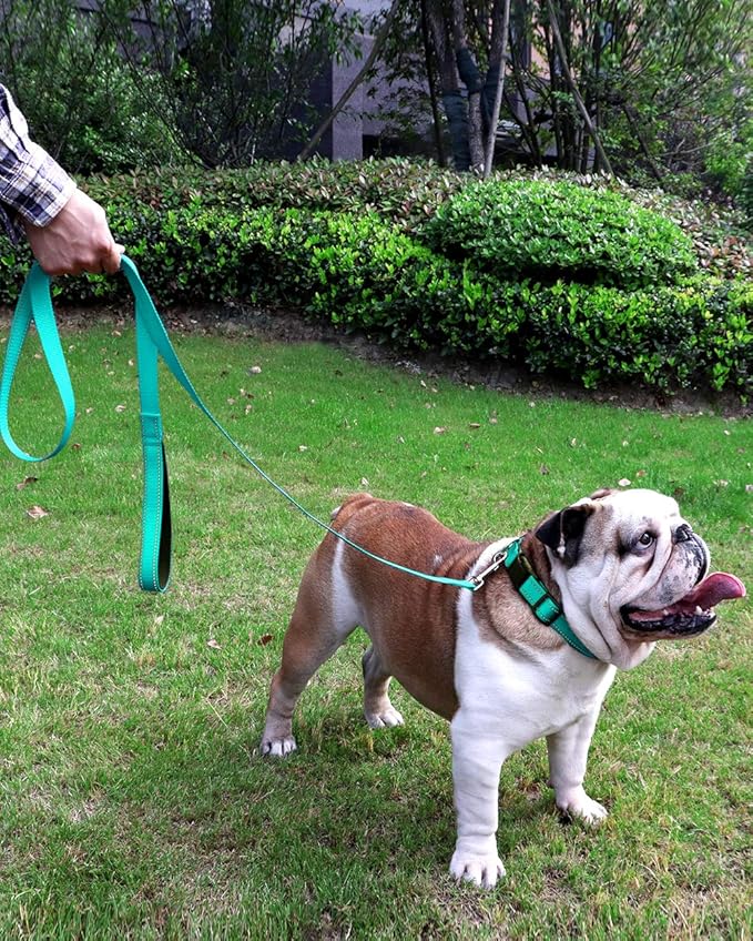 FunTags 4FT Reflective Dog Leash with Soft Padded Handle for Training,Walking Lead for Large & Medium Dog,1 Inch Wide,Turquoise