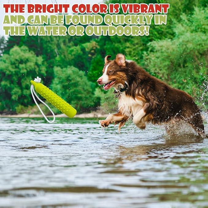 BINGPET Dog Float Bumper Toy 2 Pack,10.8 Inch Large Training Dummy Retrieving Bumpers Summer Pool Toy Tug Game for Large XL Dogs Retriever(Red & Green)