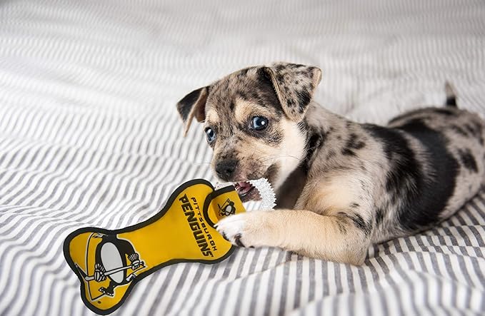 Pets First NHL Pittsburgh Penguins Dental Dog TUG Toy with Squeaker. Tough PET Toy for Healthy Fun, Teething & Cleaning Pet's Teeth & Gum., one Size (PEN-3310)