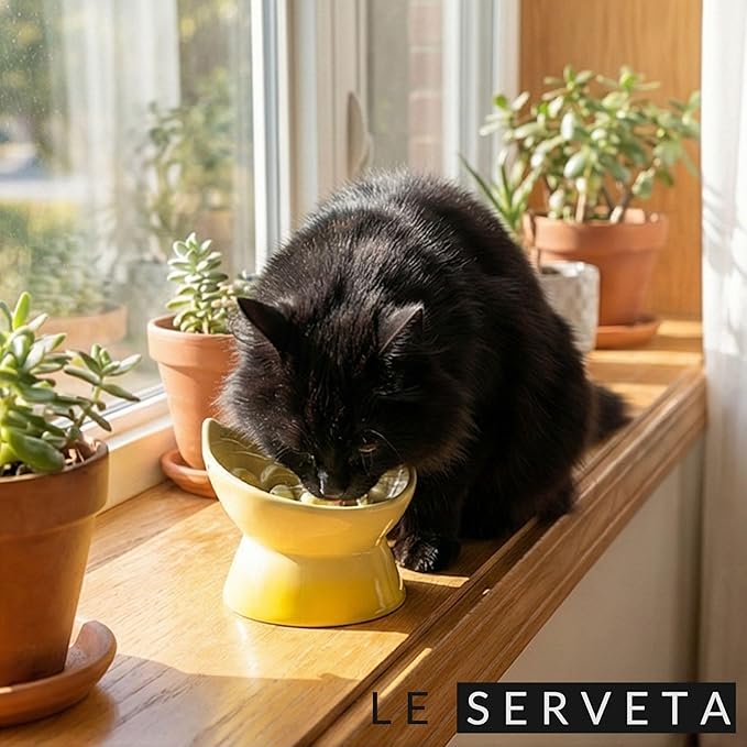 Macarons Series Ceramic Slow Feeder Cat Bowl, Raised Puzzle Feeder, Anti Vomiting Cat Slow Feeding, Elevated Food Bowl, Whisker Friendly Pet Bowl with Cute Ear Design (Gradient Yellow)