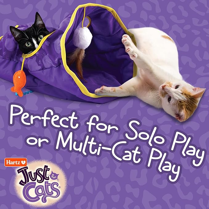 Hartz Just for Cats The Crinkler, 3-in-1 Mega Cat Toy with Silver Vine & Catnip, Crinkle Bag, Peek-a-Boo Holes, 3 Dangler Toys