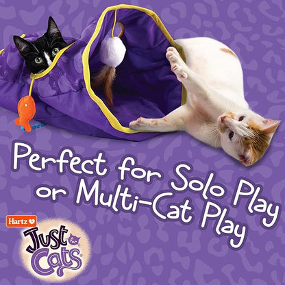Hartz Just for Cats The Crinkler, 3-in-1 Mega Cat Toy with Silver Vine & Catnip, Crinkle Bag, Peek-a-Boo Holes, 3 Dangler Toys