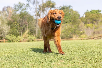 Pet Qwerks Talking Babble Ball - Interactive Chew Dog Toy - Large