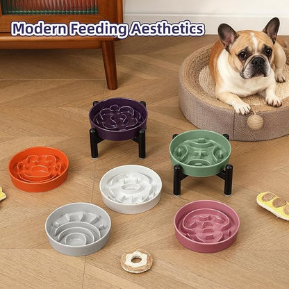 Elevated Slow Feeder Dog Bowl - Ceramic Maze Dog Food Bowl with Stainless Stand - Raised Slow Feeder for Small Breeds to Control Eating Speed - 6.3 Inch - 0.8 Cups (80g) - Grey