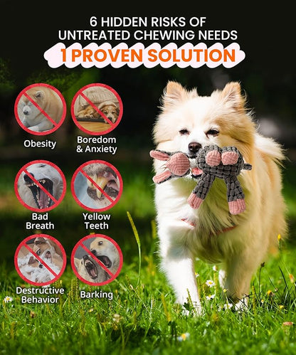 Squeaky Plush Dog Toys - Adorable Animal Designs with Soft Cotton Filling, Cute Stuffed Dog Chew Toys for Small, Medium Non-Aggressive Chewing Dogs Chewer (Grey - Donkey)