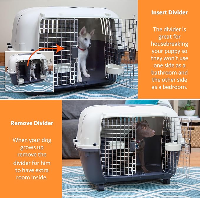 SportPet Designs Double Wire Door Plastic Kennel (CM-0699-CS01)