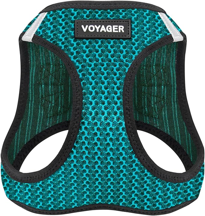 Best Pet Supplies - All Weather Mesh/Plush, Reflective, No Pull Harness for Small, Medium Dogs, Cats - Secure with Hook & Loop Fastener, Buckle, Double D-Rings - Turquoise 2-Tone, M