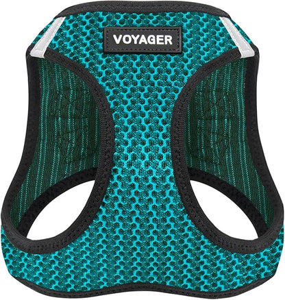 Best Pet Supplies Voyager Step-in Air Harness - All Weather Mesh, Reflective, No Pull Harness for Dogs, Cats - Secure with Hook & Loop Fastener, Buckle, Double D-Rings - Turqupise 2-Tone, L