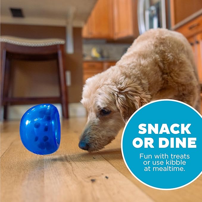 Outward Hound by Planet Dog Lil' Snoop Dog Toy – Treat‑Dispenser Puzzle Ball, Interactive Slow Feeder, Small to Medium Dogs, Bouncy & Mint-Infused, Blue, 3.9"