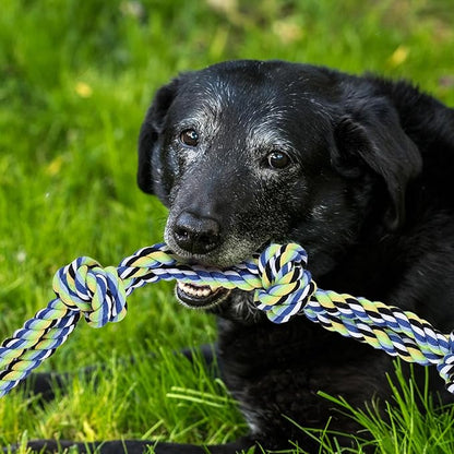 12 Pack Dogs Rope Toys for Large/Medium/Small Aggressive Chewers, Tough Cotton Dental Rope Toys Kit, Heavy Duty Dog Tug of War Toy for Chewing, Playing, Teething, Teeth Cleaning, Tossing and Catching