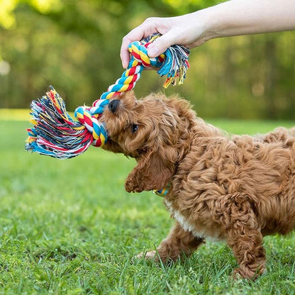 Jeffers Pet Rope Bone Dog Toy, Multi-Colored, 16" – Durable Braided Rope for Tug of War, Chewing & Fetch – Interactive Play for Pets – Machine Washable Dog Game Toy, Supports Healthy