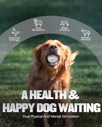 Automatic Dog Ball Launcher for Large Dogs, Machine Ball Thrower for Dogs, with 6 Pack 2.5" Balls (Grey), Interactive for Boredom, Mental Stimulation Toys