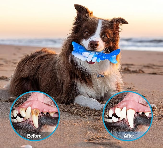 PETSTA Dog Chew Toys for Aggressive Chewers, Durable Toys for Large Dogs, Heavy Duty Indestructible Large Dog Toys, Tough Dog Toys for Medium/Large Dogs Breed