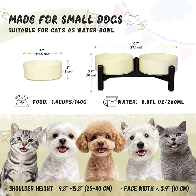 Elevated Ceramic Dog Bowl Set - Cute Double Dishes with Stainless Steel Stand – Raised Feeding Bowls for Cats and Small Dogs - Food & Water Set - 5" / 1.4 Cups (140 g / 260 ml) - Yellow