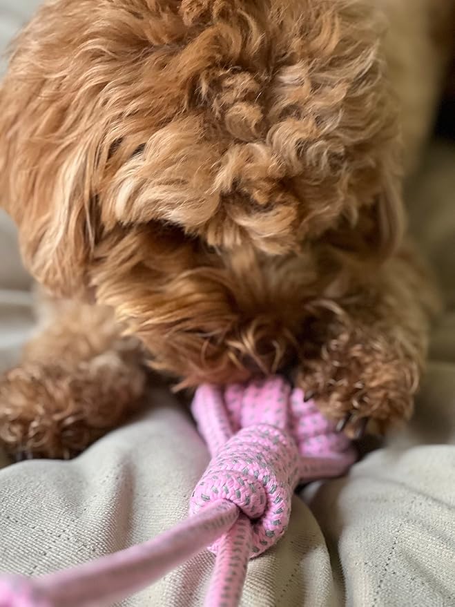 ALLUM Dog Rope Toys with Knotted Ball and Handle - Interactive and Stimulating Dog Toys & Puppy Toys - Dog Toys for Boredom - Ball on Rope (Pink)