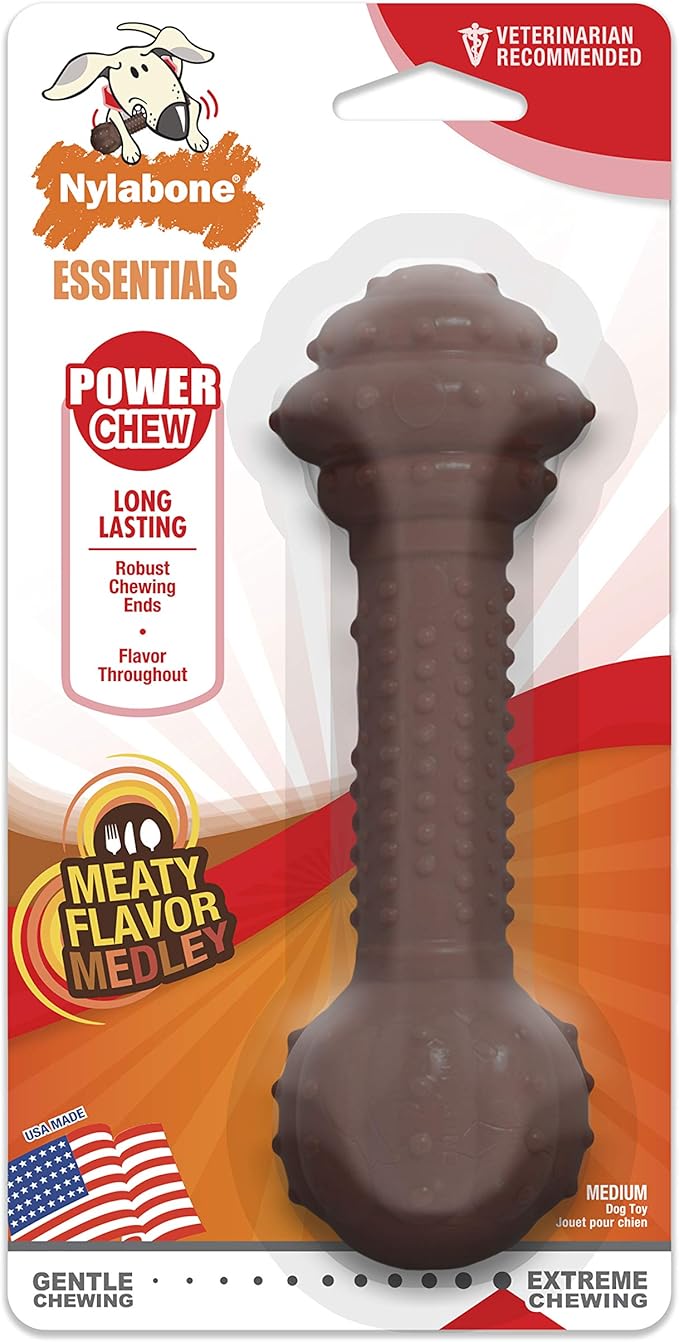 Nylabone Medley Flavour Barbell Dog Chew Toy, Large,Pack of 1
