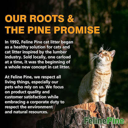Feline Pine Platinum Non-Clumping Cat Litter, Feline Pine Cat Litter, 18lb (Pack of 2)