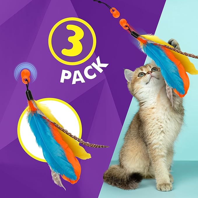 Cat Amazing Snatch Feathers Replacement Pack - 3 Magnetic Feather Attachments for The Snatch Magnetic Wand - Cat Toy Feathers – Cats Can Really Catch!