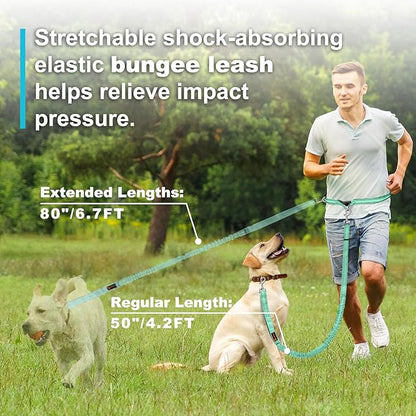 Hands Free Dog Leash, Adjustable Waist Leash for Dog, Handle Bungee 4.2-6.7 Feet Long with Reflective Stitches for Walking Hiking Running, Fits 26"- 43" Waist, Mint Green