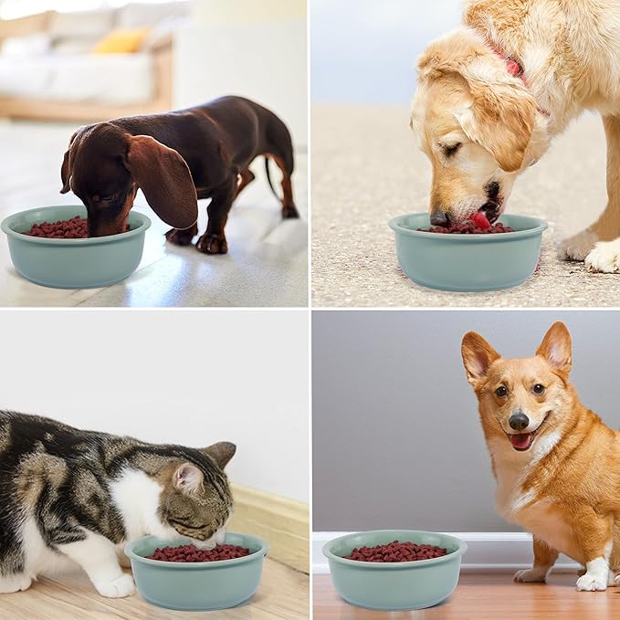 Single Replacement Bowl for 6.3'' High Elevated Dog Bowls, Non-Slip Pet Feeding Dishes for Small Medium Dogs and Cats, Durable Porcelain Dog Food and Water Bowls(28oz, Light Green)