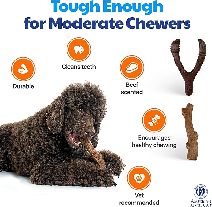 American Kennel Club 2 Pack Training Dog Chew Toy, Wood-Infused PP Assorted Dog Toys, Durable Toys for Moderate Chewers, Beef Scented for Long-Lasting Engagement, Supports Dental Health
