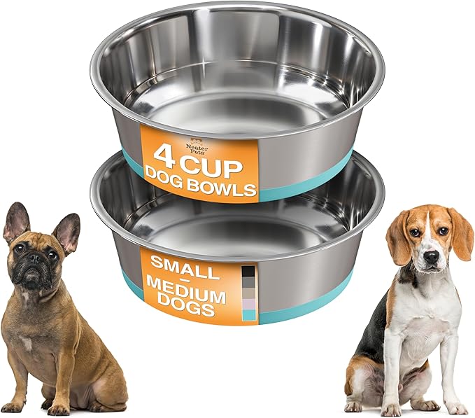 Neater Pet Brands Stainless Steel Dog Bowls with Non-Slip Rubber Bottom – Set of 2, 4 Cup (32 oz), Teal - Heavy Duty Metal Dog Bowl, Dishwasher Safe, Food or Water Bowl, Ideal for Medium Dogs