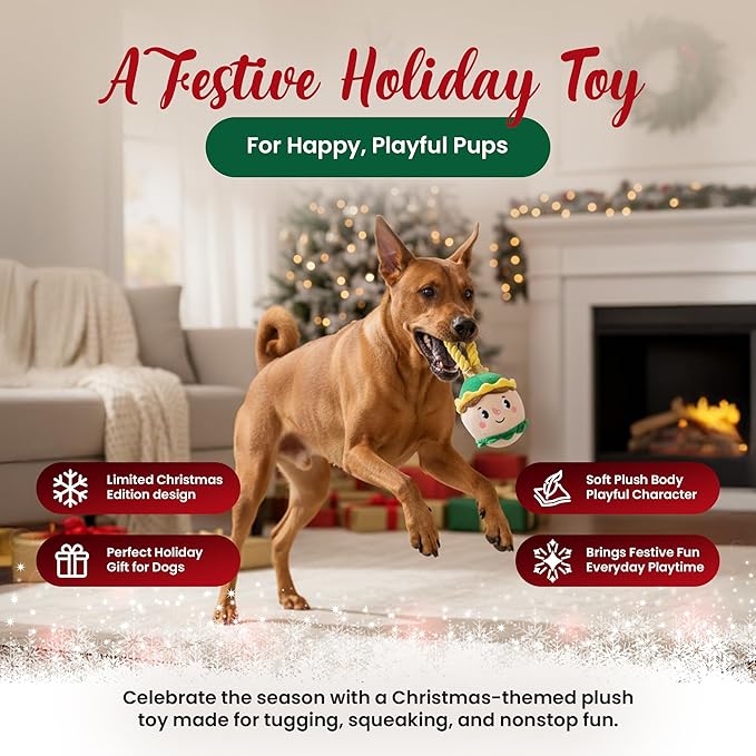 Bow Wow Pet Elf Ornament Rope Plush Dog Chew Toy