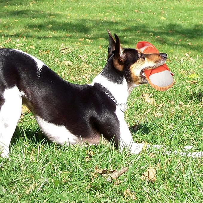 Dog Chew Toys,Creative Shoes Shape Squeaky Toy, Durable and Safe Dog Playing Toy Funny Shoes Sound Toy for Small and Medium Pets