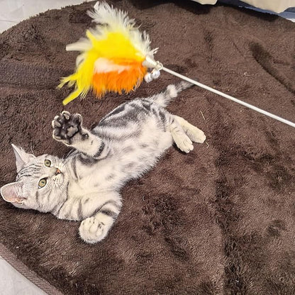 Interactive Cat Teaser Wand with Colorful Feathers & Double Bells, Irresistible Wiggle for Indoor Cats, Chew-Resistant Kitten Toy(Pink)