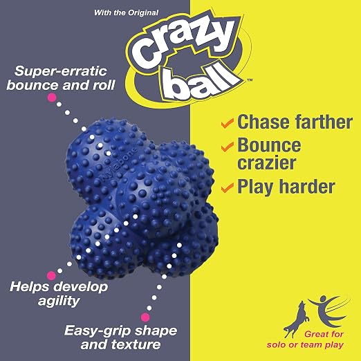 Nylabone Power Play Crazy Ball Interactive Play Toy, Fetch Ball Toy for Dogs, Large (1 Count) - Image 9