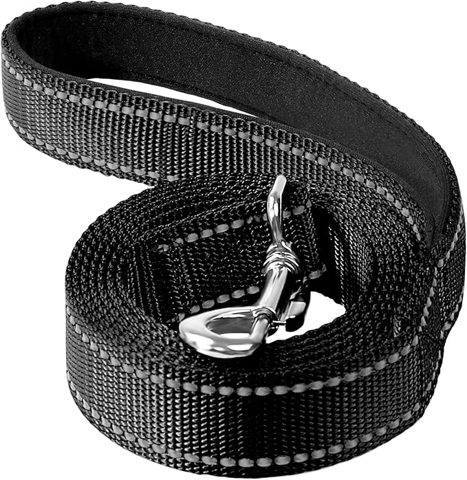 Reflective Dog Leash 4ft Soft Padded Handle Nylon Lead for Small & Medium Dogs, Durable Walking Training Leash for Night Safety (Black,3/4Inch Wide)