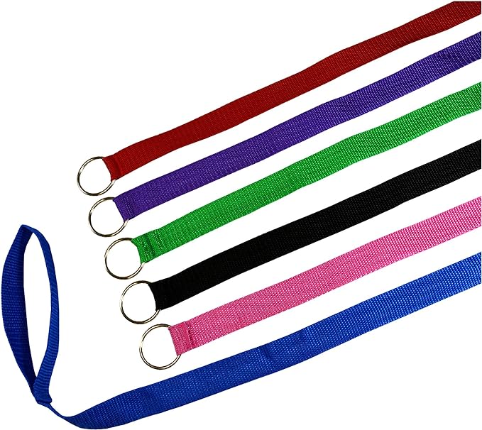 Downtown Pet Supply - 6ft Kennel Slip Lead Leash - Veterinarian, Grooming, Daycare & Animal Rescue Supplies - One Size for Dogs - 1" Thick 120 Pack