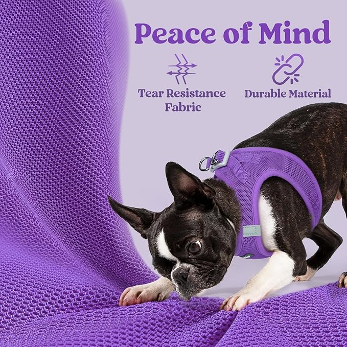 rabbitgoo Small Dog Harness, Step-in Soft Mesh Puppy Vest with Safety Buckle, Breathable Reflective Pet Harness for Small Medium Dogs, Purple XL
