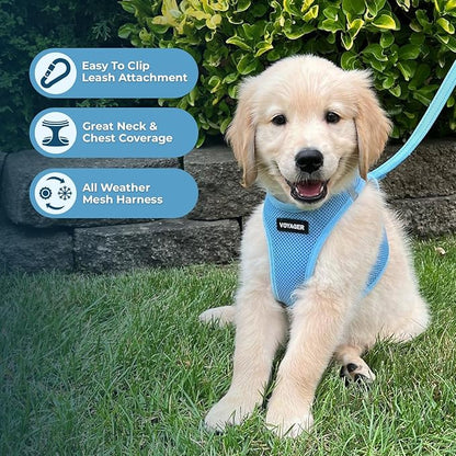 Best Pet Supplies Voyager Step-in Air Harness - All Weather Mesh, Reflective, No Pull Harness for Dogs, Cats - Secure with Hook & Loop Fastener, Buckle, Double D-Rings - Baby Blue, S