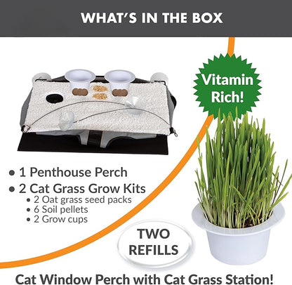 K&H Pet Products EZ Mount Cat Window Perch Penthouse Kitty Sill with Cat Grass Grow Station - 2 Level Hammock Window Bed for Indoor Pets, Home Grown Grass Toy for Bored Indoor Felines