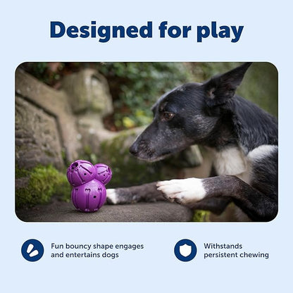 PetSafe Busy Buddy Barnacle - Treat Dispensing Dog Toy for Mental Stimulation - Natural Rubber - Durable Construction - Dishwasher Safe - Treat Meter Technology - Perfect for Peanut Butter - Large