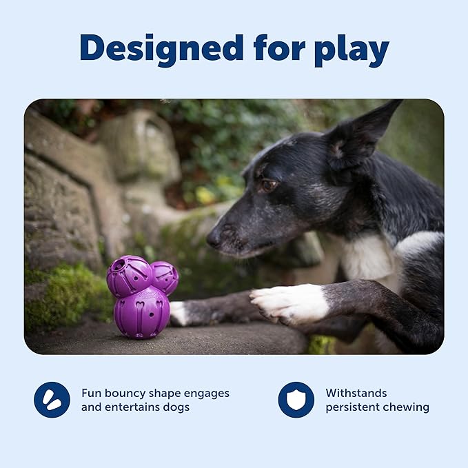 PetSafe Busy Buddy Barnacle - Treat Dispensing Dog Toy for Mental Stimulation - Natural Rubber - Durable Construction - Dishwasher Safe - Treat Meter Technology - Perfect for Peanut Butter - Medium