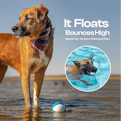Squeaky Dog Toy – Durable Rubber Dog Ball for Medium & Large Dogs, Tough Interactive Fetch Toy for Chewers, Outdoor Training & Play Ball, Floating Water Play Gift.Ocean