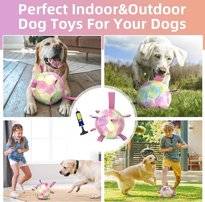 QDAN Extra Large Dog Toys Soccer Ball for Extra Large Dogs - Durable Dog Ball for Beach Pool Water Toy, Interactive Tug of War, Puppy Birthday Gifts, Rainbow (9 Inch)