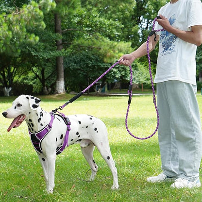 Cymiler Hands Free Dog Leash, 8 Ft Reflective Cross-Body Pet Rope Leashes with Sponge Handle, Heavy Duty Nylon, for Running, Hiking, Training, Waist Leash for Small Medium Large Dogs (Purple)