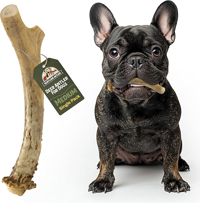 Heartland Deer Antlers for Dogs - Daily Dental Care Chews for Aggressive Chewers to Reduce Plaque & Prevent Destructive Behavior (Splinter Free, Medium, 5–6", 1-Pack, Grade A, USA Made)
