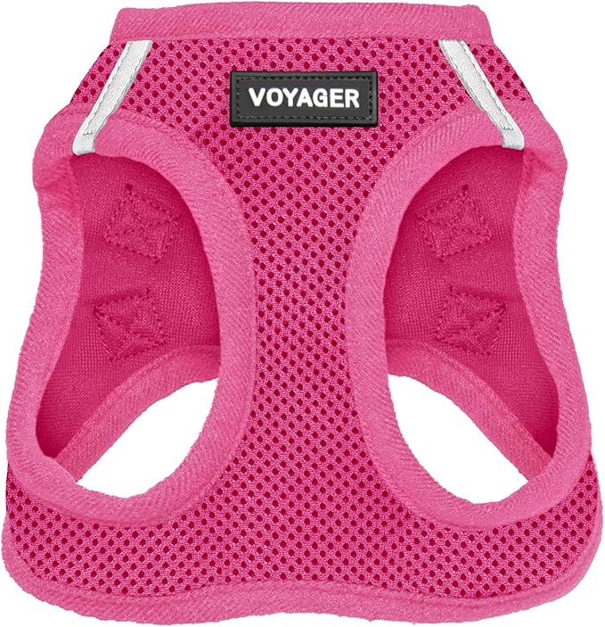 Best Pet Supplies Voyager Step-in Air Harness - All Weather Mesh, Reflective, No Pull Harness for Dogs, Cats - Secure with Hook & Loop Fastener, Buckle, Double D-Rings - Fuchsia, M