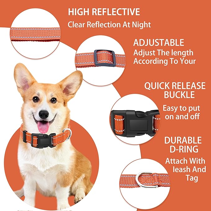 Reflective Dog Collar with Safety Locking Buckle, Adjustable Soft Breathable Nylon Collars for Small, Medium and Large Dogs(Collar+Leash XS Width 3/8" Orange)