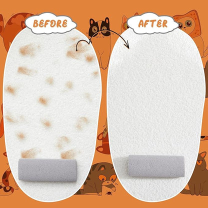 Abbylike 6 Pcs Pet Hair Remover Pumice Stone Reusable Portable Dog Cat Hair Removal Tool Scraper for Carpet,Couch, Bedding, Car Upholstery, Furniture Cleaning (5.3 x 2 x 1.4 Inch,Gray)